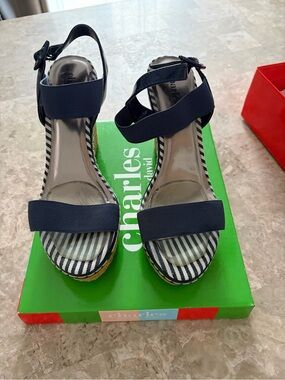 Charles David Navy and White Striped Espadrille Wedge Sandals
